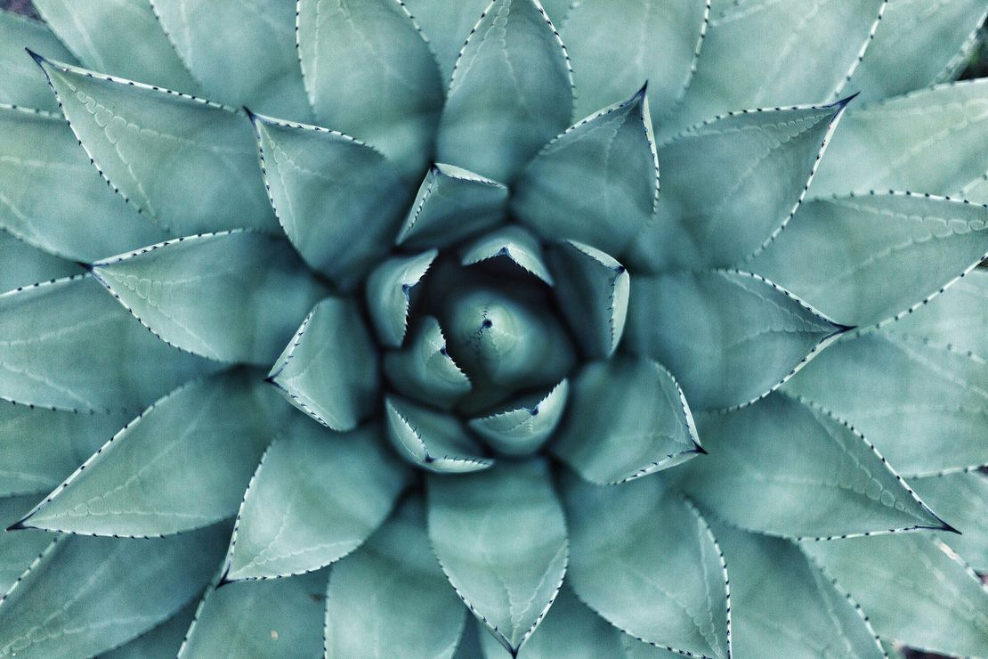 The Illusion of Perfection: Embracing Our Humanity
