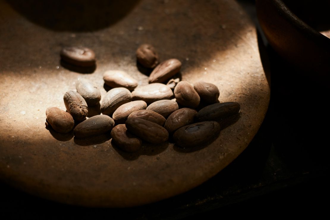 A Journey with Cacao at the Pyramids of Chi